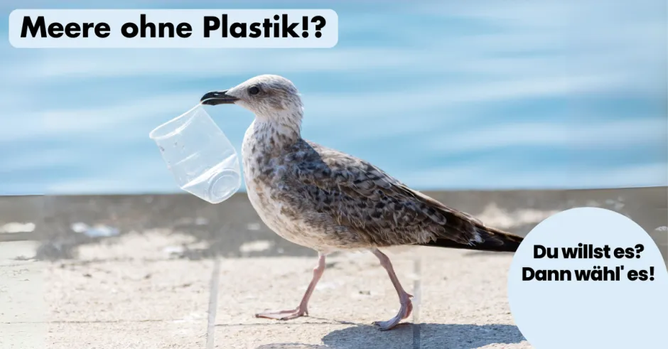 ohnelogo_linkedin_saubere_meere_mowe